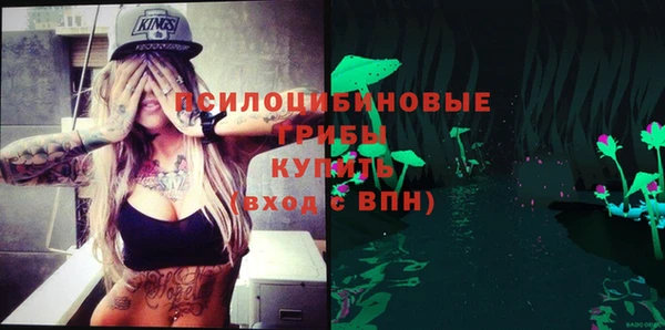 винт Баксан