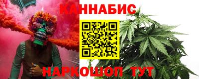 индика Зима