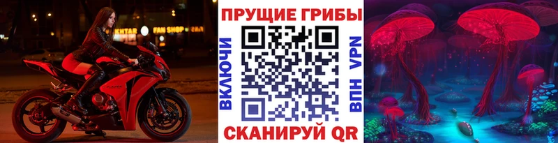 Галлюциногенные грибы ЛСД  Торопец 